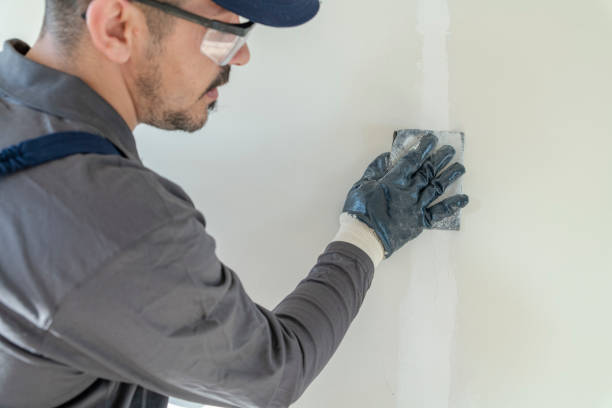 Mold Documentation for Insurance Claims